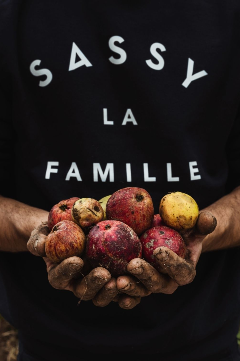 Person holding cider apples for Maison Sassy cider