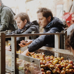 The founders of Maison Sassy selecting cider apples